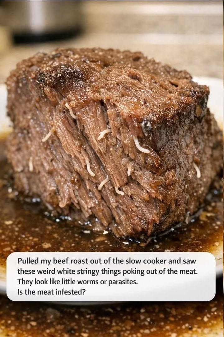 Pulled my beef roast out of the slow cooker and saw these weird white stringy things poking out of the meat. They look like little worms or parasites.