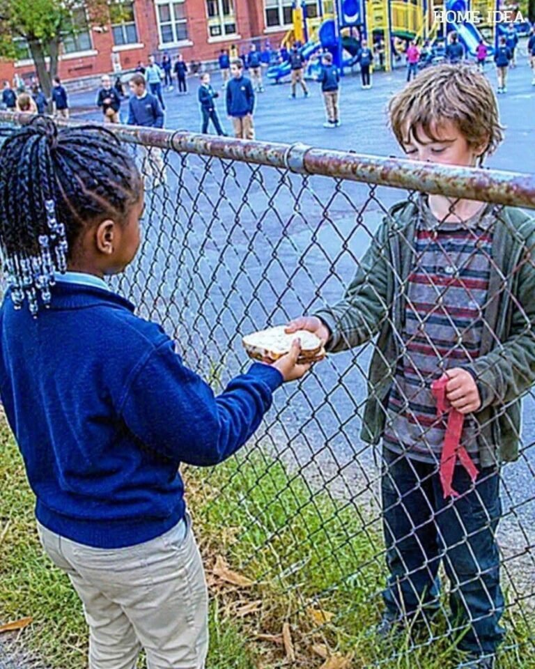 He Came Back Worth Millions for the Girl Who Fed Him Through a Fence.. sbl part1