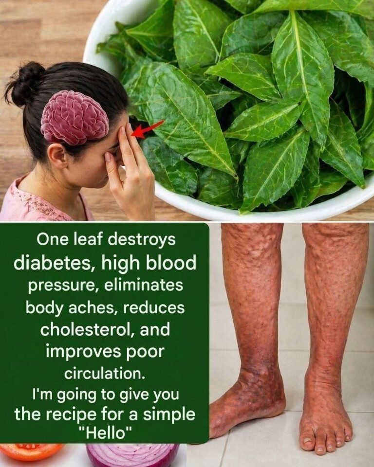 The most miraculous leaf.