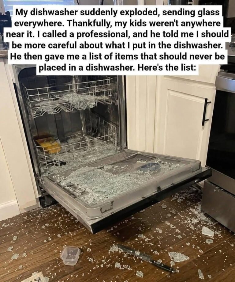 8 Things You Absolutely Should Not Put in a Dishwasher (And Why)