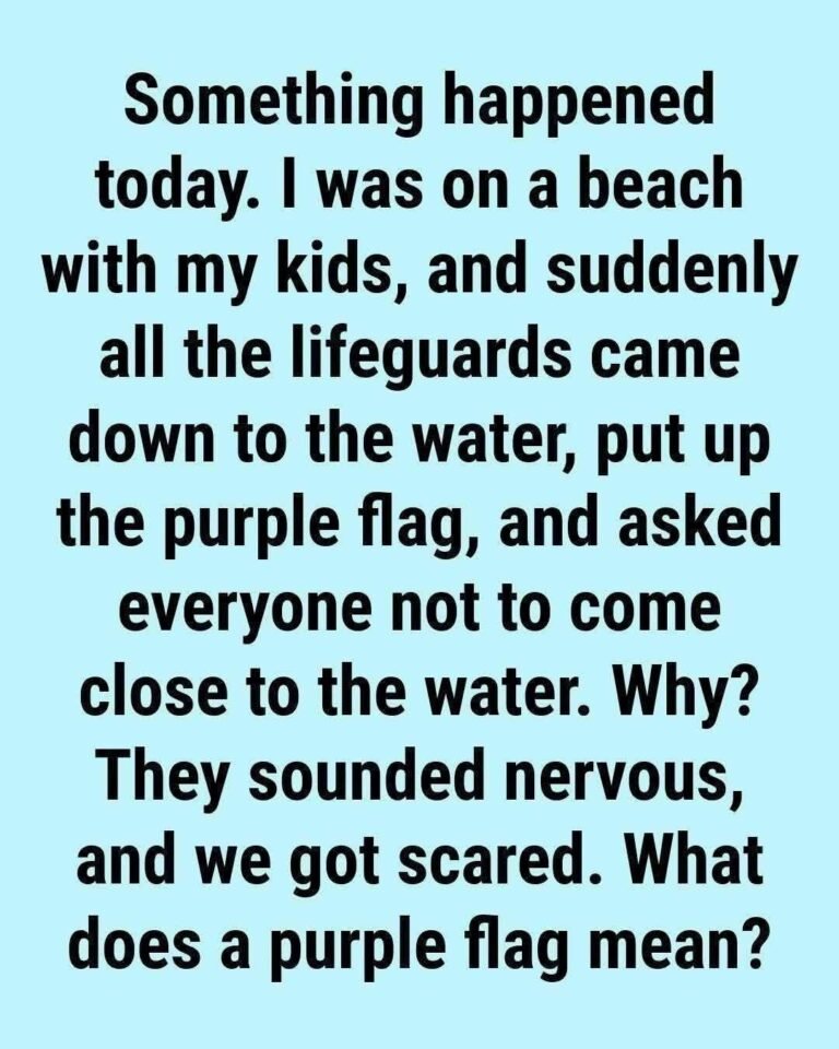 The Purple Flag at the Beach: What It Really Means (And Why You Should Pay Attention) 1