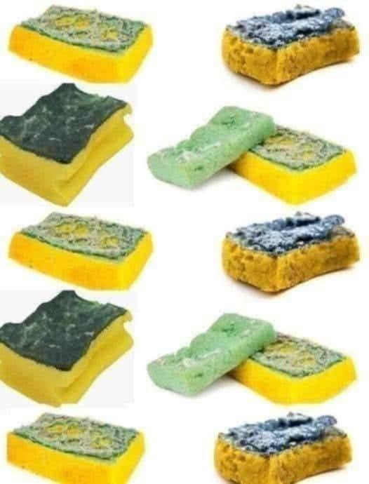 🧽 Old Sponges, Don’t Throw Them Away: “They’re Worth Gold” – Here’s Why!