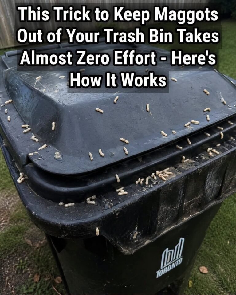 How to Stop Maggots From Taking Over Your Trash Bin