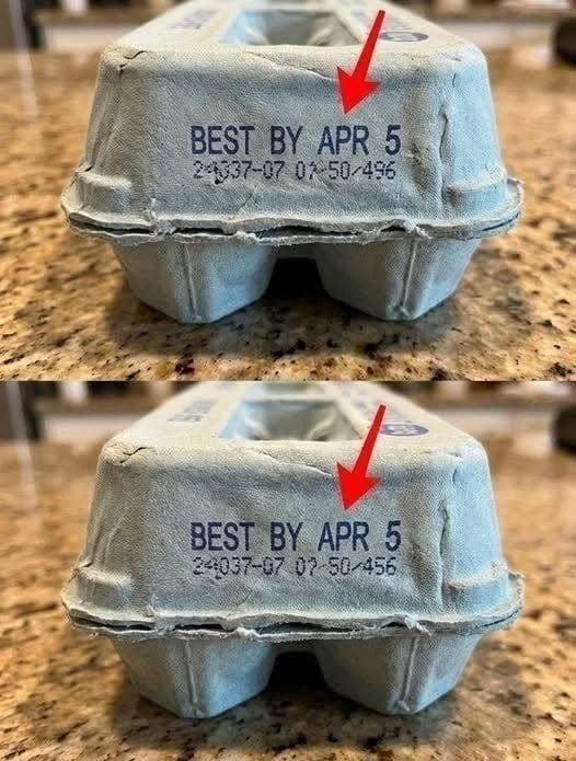 The Secret Meanings Behind the Codes on Egg Cartons
