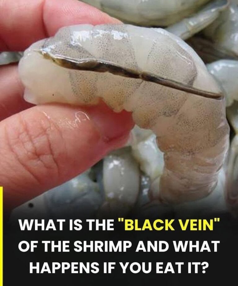 What Is Actually the Shrimp’s “Vein”? 🦐🤔 (Most People Get This Wrong!