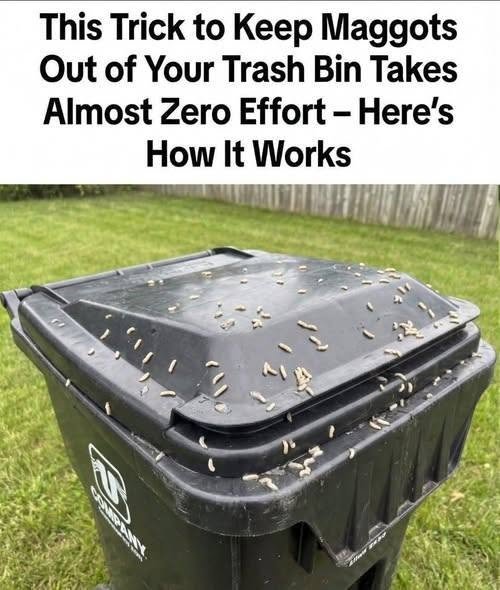 How to Stop Maggots From Taking Over Your Trash Bin