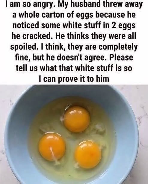 That White Strand in Your Egg Isn’t a Flaw — Here’s What It Means