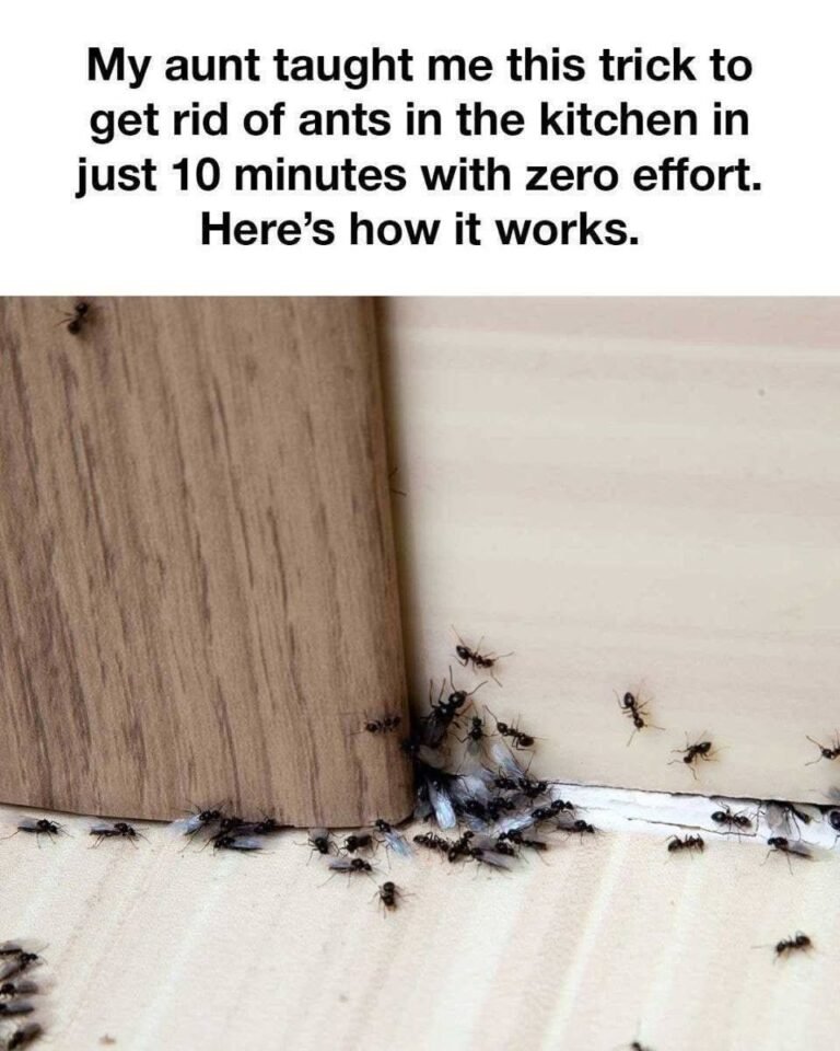 Tried Many Things Before, But This Hack Does the Job for Me!