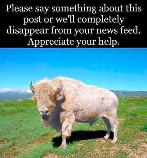Legend of the White Buffalo