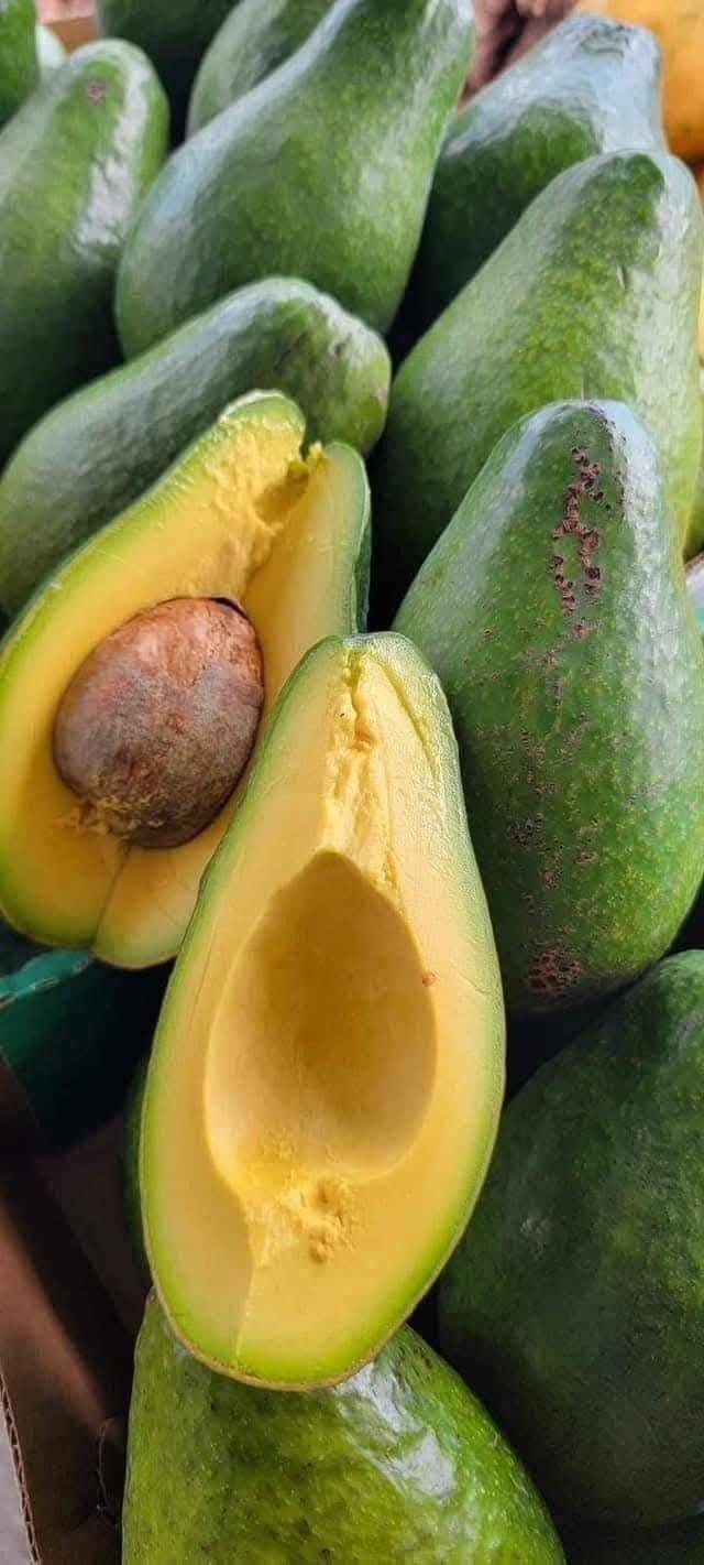 Doctors reveal that avocado consumption causes… see more