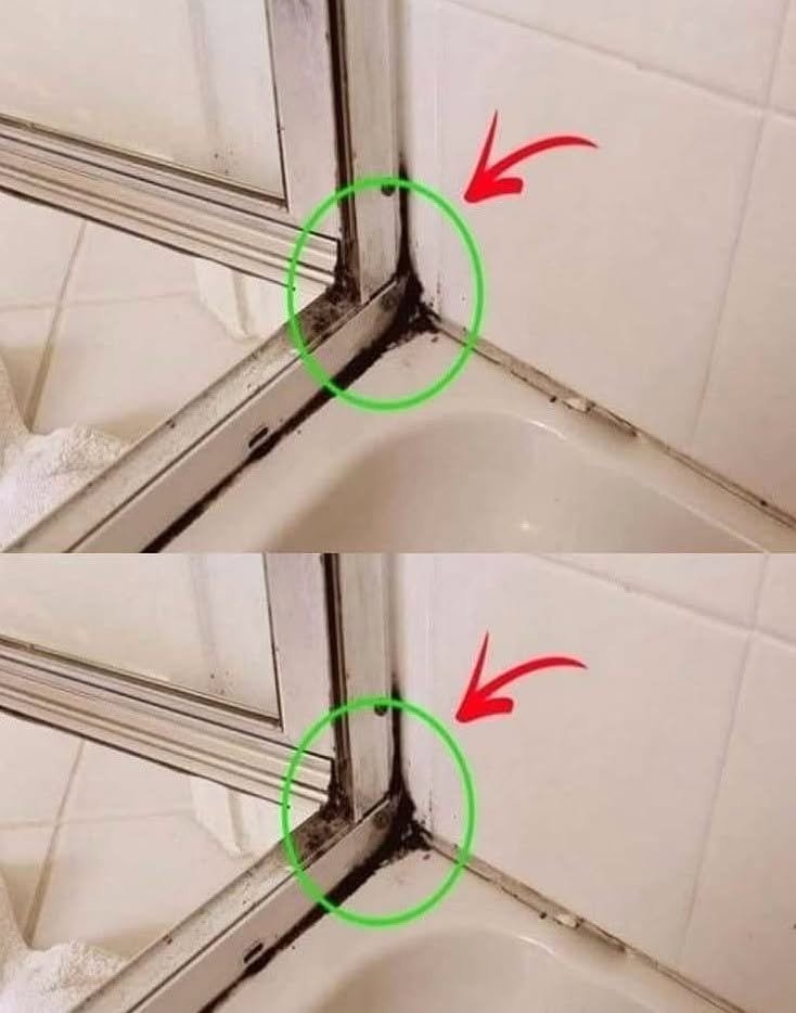 The Fastest Way to Get Rid of Shower Silicone Mildew – welcome