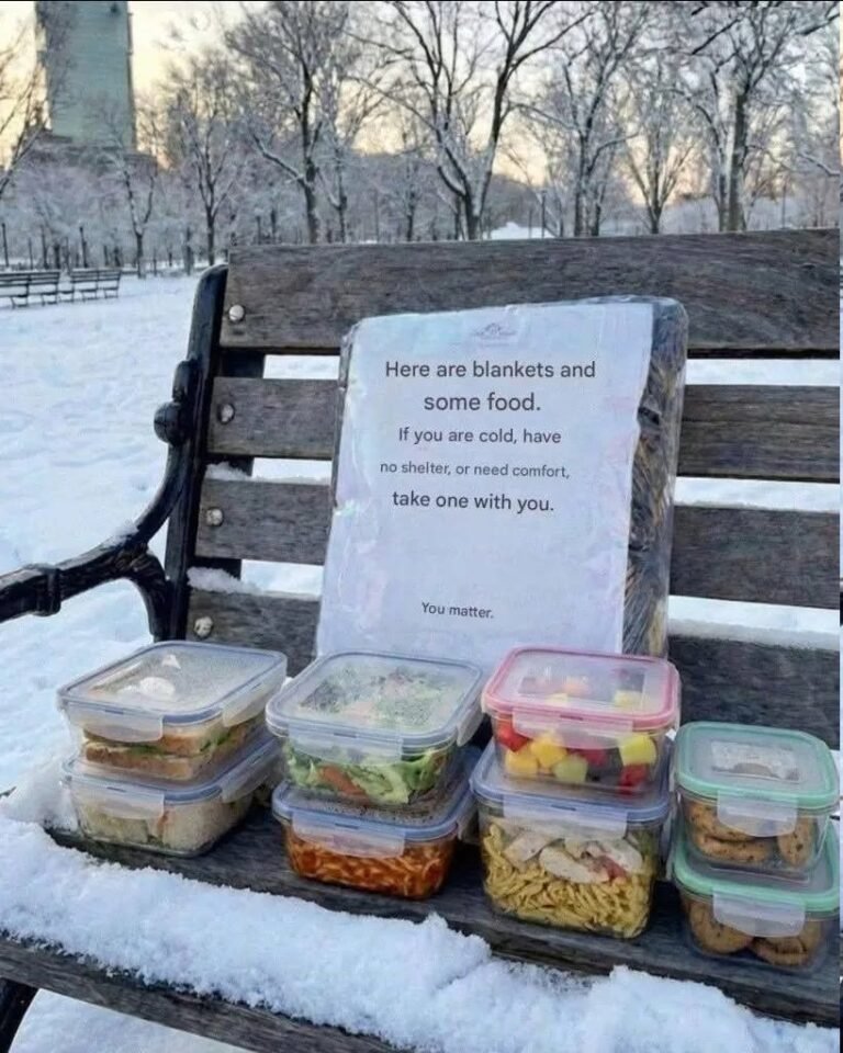 Poor single father of three left blankets and food on a bench for the homeless – a month later, a lawyer showed up on his porch