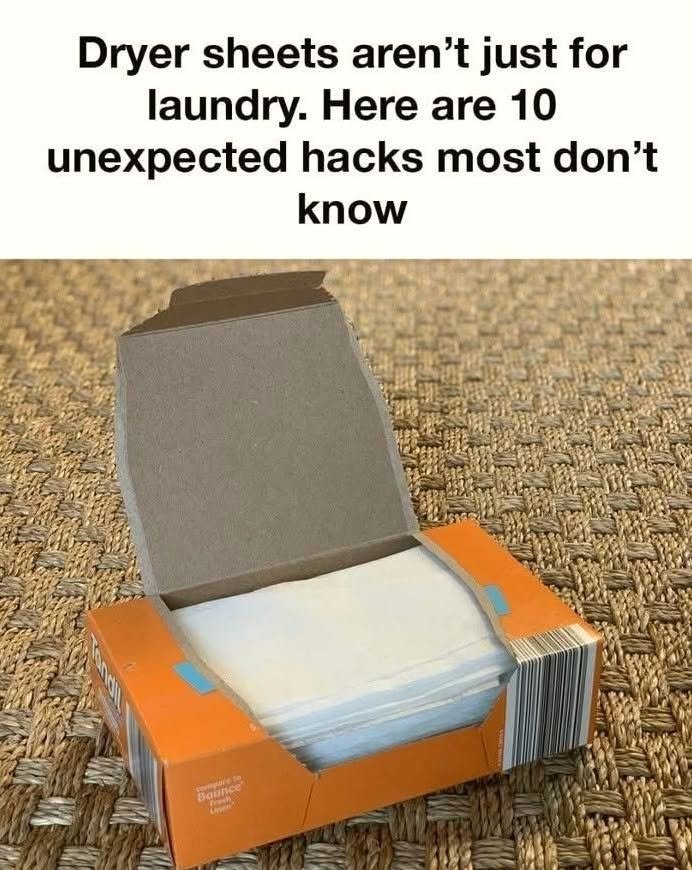 These ideas are amazing