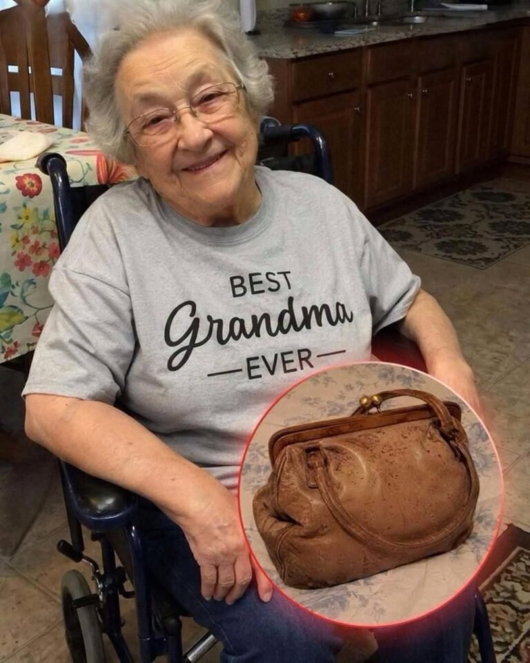 My Grandma Wouldn’t Let Anyone Peek Inside the Old Handbag She Kept in Her Closet for Years – The Moment I Finally Did, I Screamed in Complete Shock