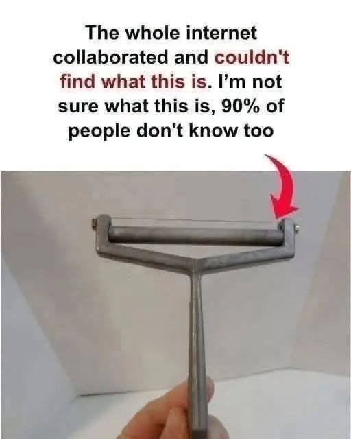 The Mysterious Kitchen Tool That Left the Internet Guessing: Do You Know What It Is?