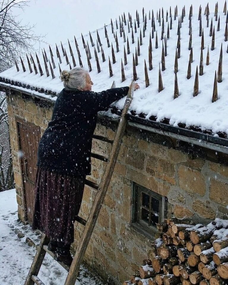 An elderly woman spent the whole summer and autumn fixing sharp wooden stakes across her roof. Neighbors were convinced she’d lost her sanity… until winter finally arrived.