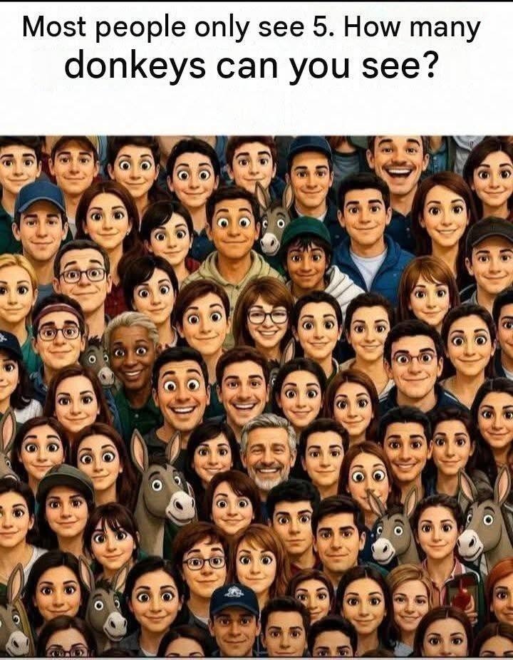 HOW MANY DONKEY CAN YOU SEE