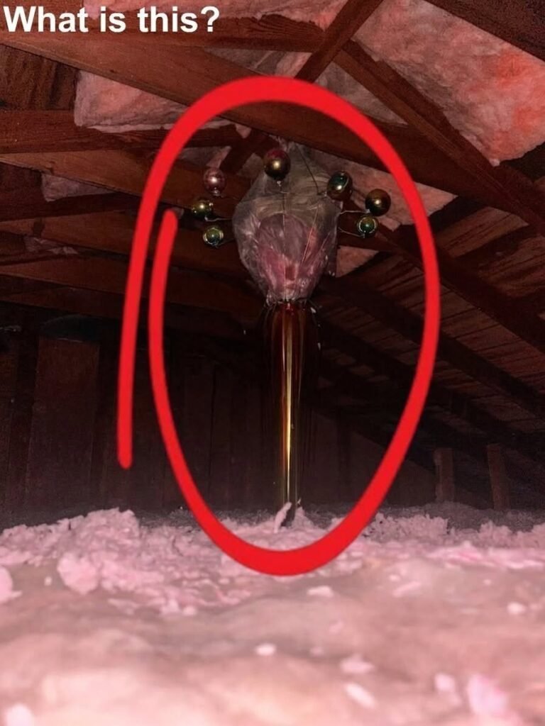 A Practical Guide to Understanding Unusual Items Found in Your Attic