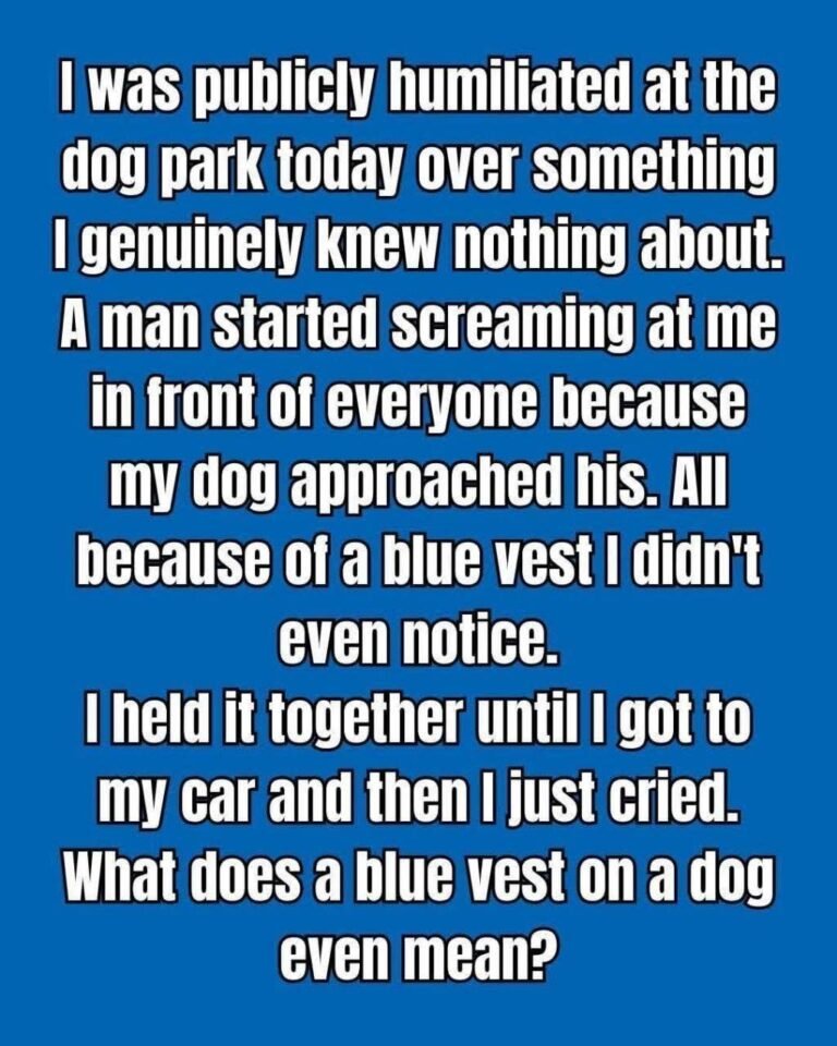 Why Some Dogs Wear Blue Vests, Bandanas, or Leashes