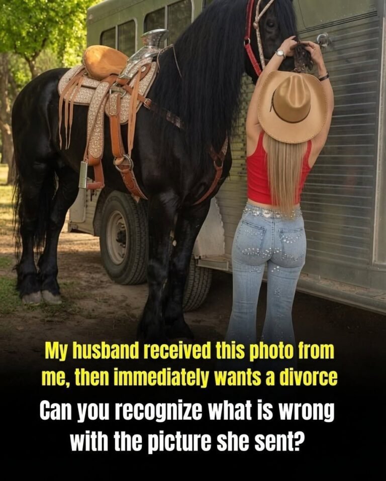 Can you recognize what is wrong with the picture she sent? The answer is in the first comment.