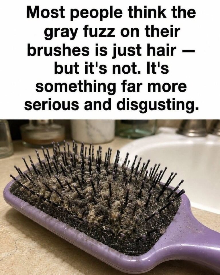 What Is the Gray Fuzz on Your Hairbrush?