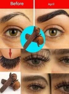 Grandma’s Beauty Secret: Thick Eyebrows and Long Eyelashes in 7 Days Thanks to Cloves