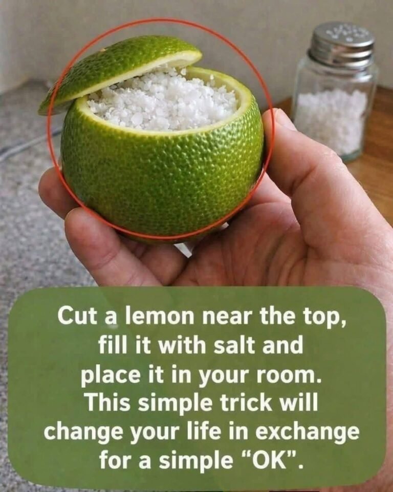 The Salted Lemon Air Purifier
