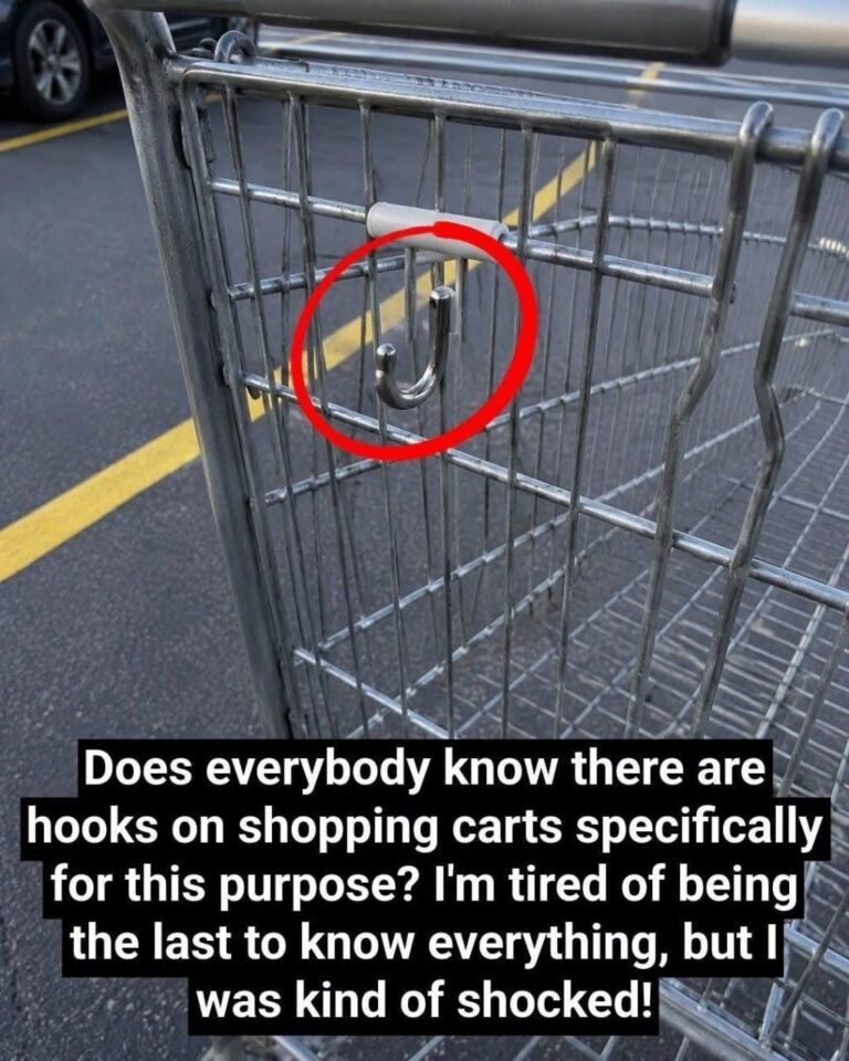 Shoppers Are Surprised by the True Purpose of Shopping Cart Hooks