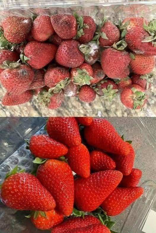 How to Keep Strawberries Fresh for Longer: 7 Proven Tips to Prevent Mold and Spoilage