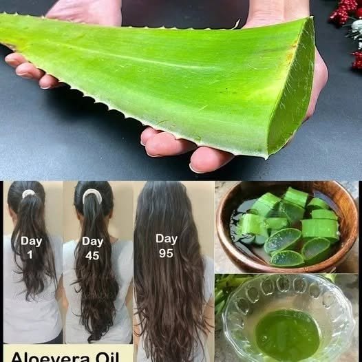 Hair Grows Like Crazy & Stops Falling Out! Powerful Aloe Vera Hair Remedy