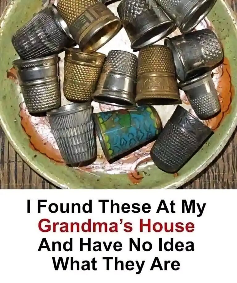 I Found These At My Grandma’s House And Have No Idea What They Are